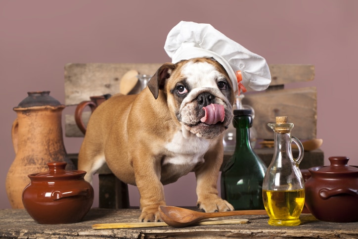 is virgin olive oil good for dogs